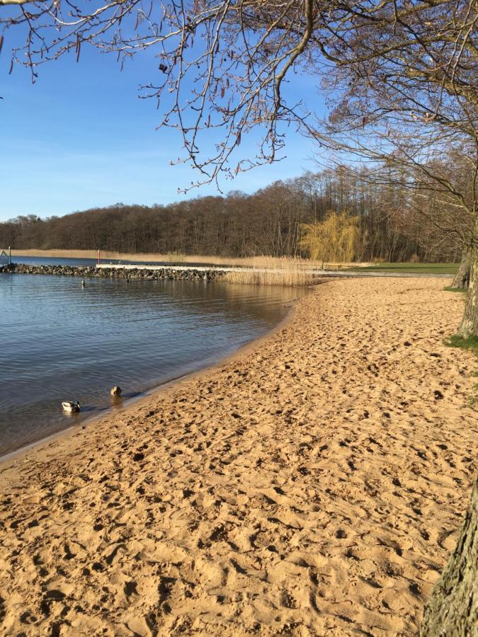 Ferienhaus Mit Bootssteg Am See In راينزبرج المظهر الخارجي الصورة